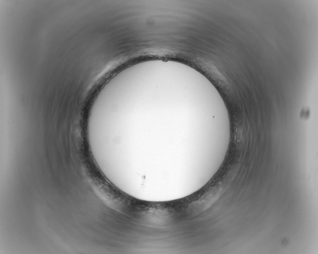 X0000093390256200711011317