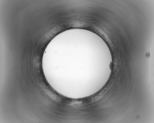 X0000093390257200711011317