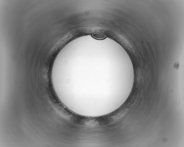 X0000093390258200711011317