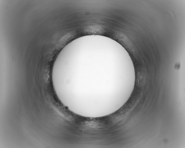 X0000093390259200711011317