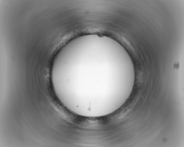 X0000093390260200711011317