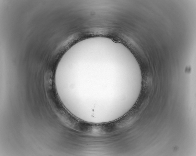 X0000093390264200711011317