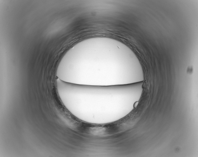 X0000093390266200711011317