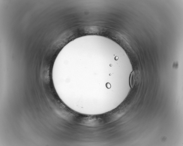 X0000093390267200711011317