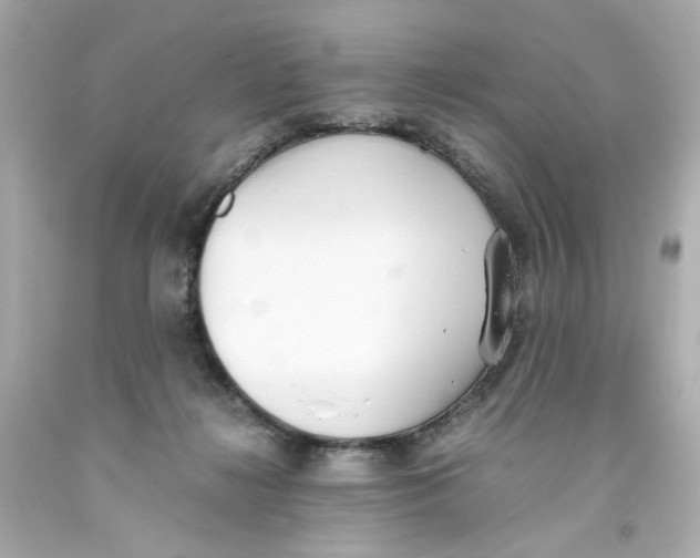 X0000093390268200711011317