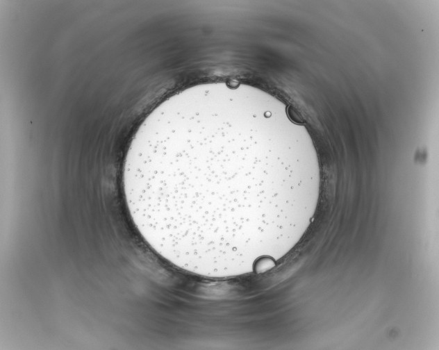 X0000093390269200711011317