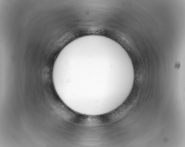 X0000093390270200711011317