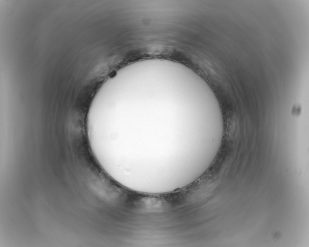 X0000093390272200711011317