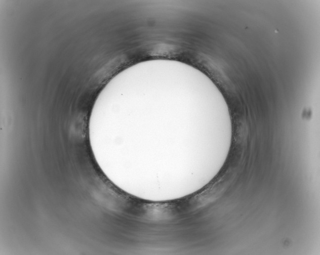 X0000093390273200711011317