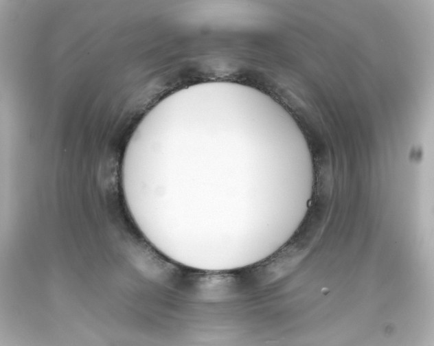 X0000093390274200711011317