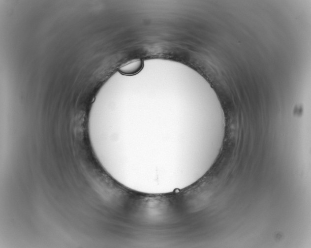 X0000093390275200711011317