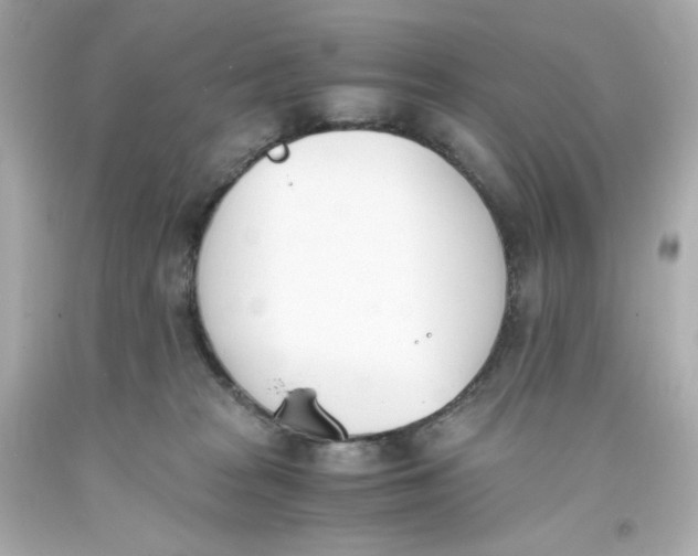 X0000093390277200711011317