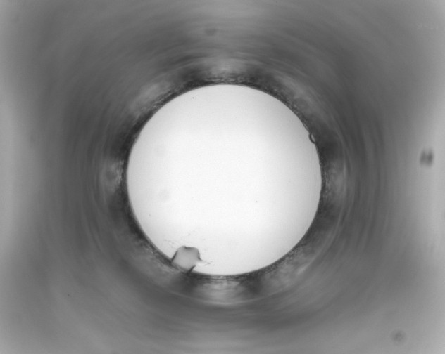 X0000093390278200711011317