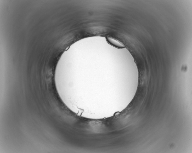 X0000093390279200711011317