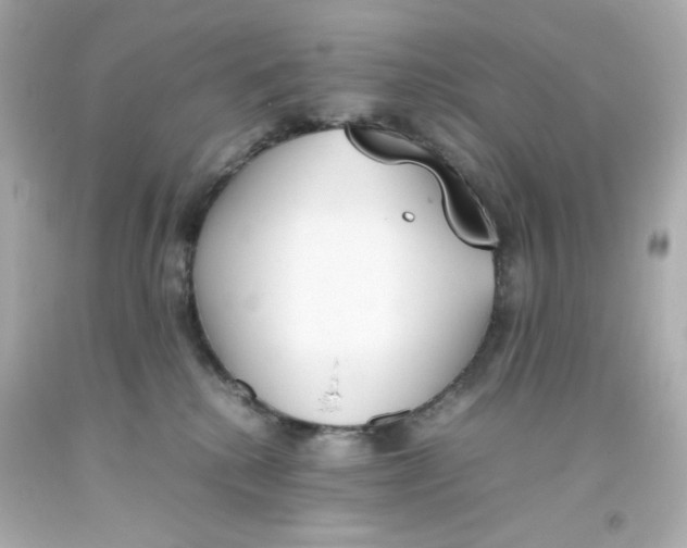 X0000093390280200711011317