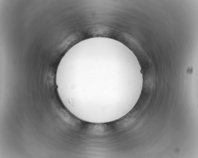 X0000093390282200711011317