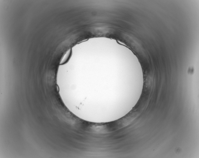 X0000093390283200711011317