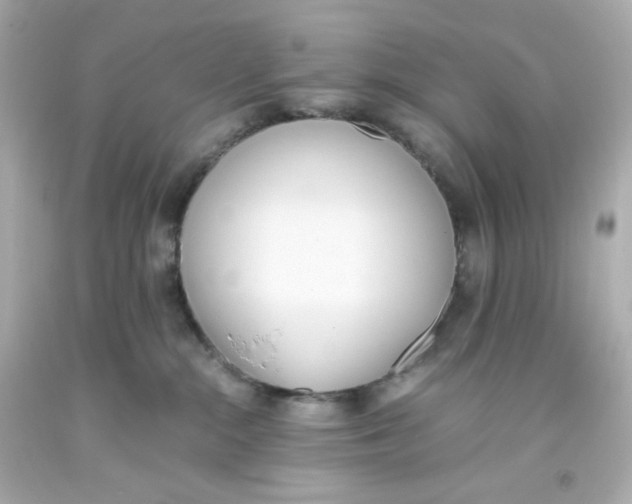 X0000093390284200711011317