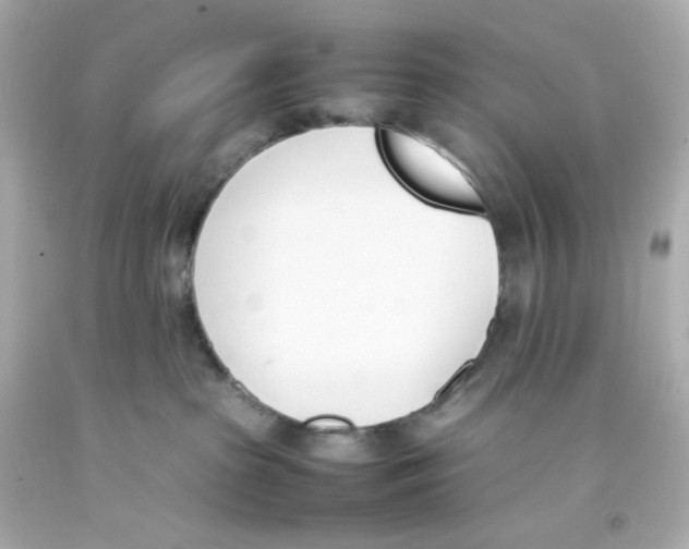 X0000093390285200711011317