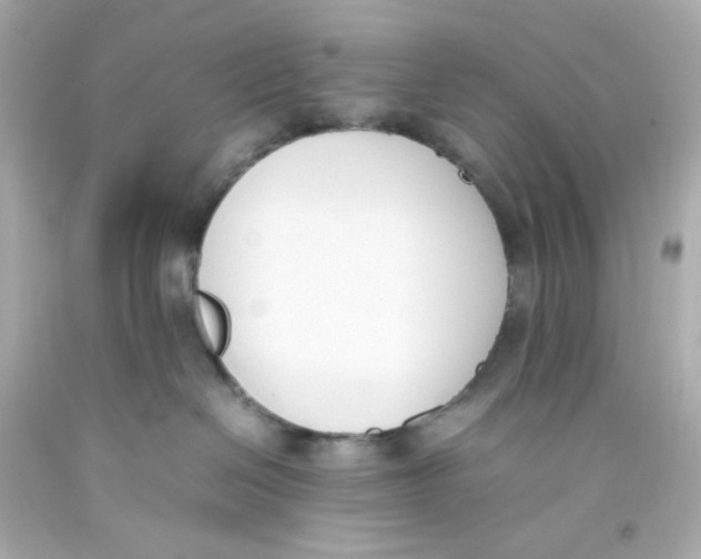 X0000093390286200711011317