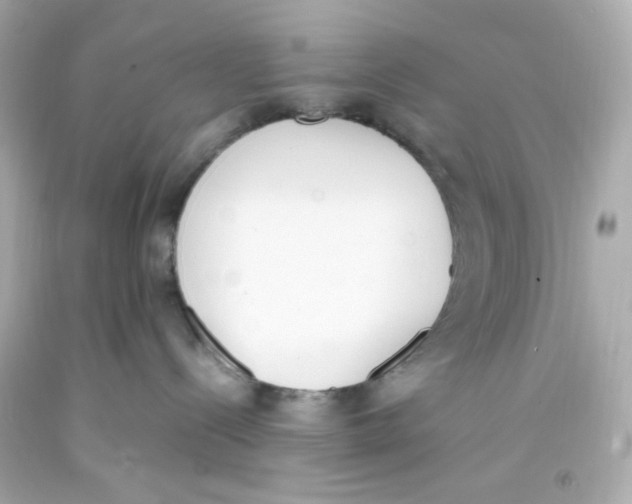 X0000093390288200711011317