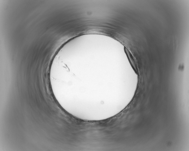 X0000093390289200711011317