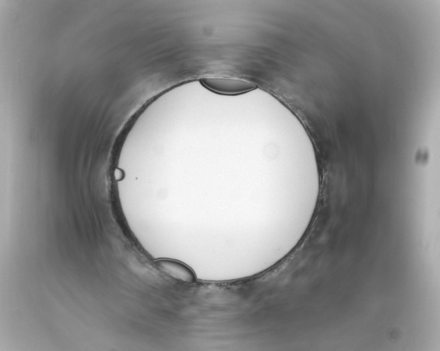 X0000093390290200711011317