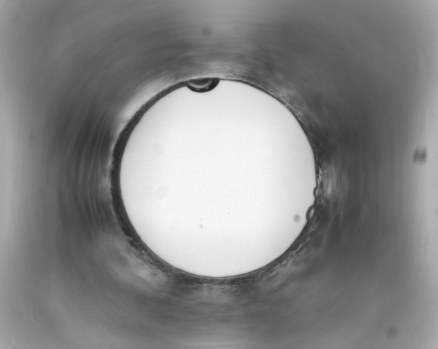 X0000093390292200711011317