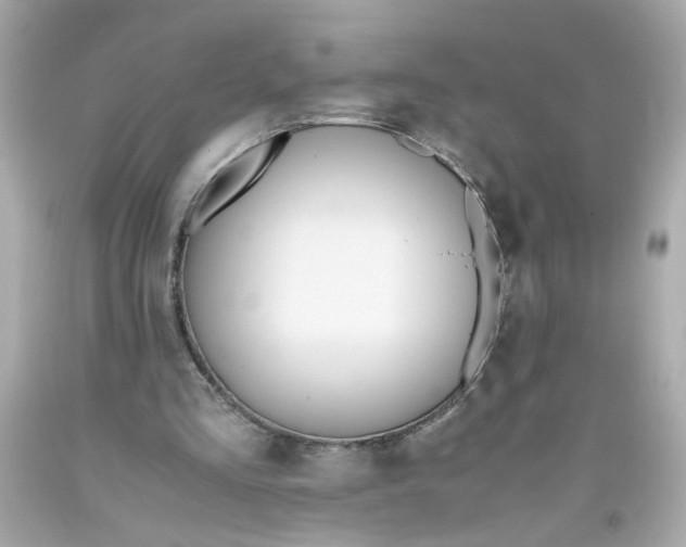 X0000093390293200711011317