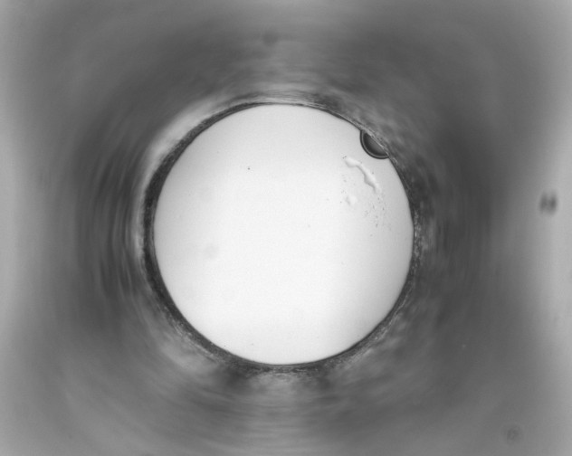 X0000093390294200711011317