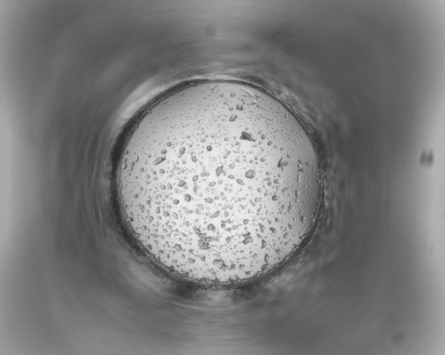 X0000093390295200711011317