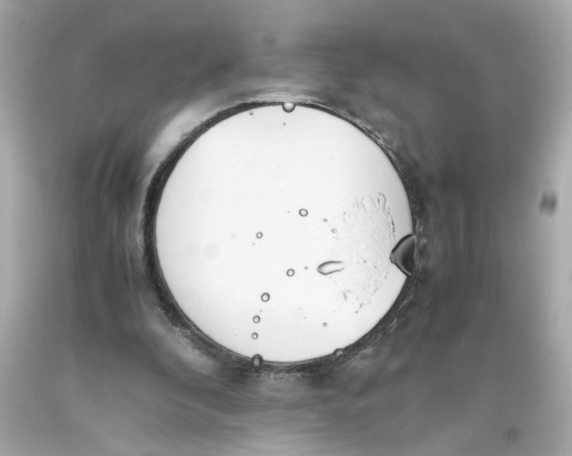 X0000093390296200711011317