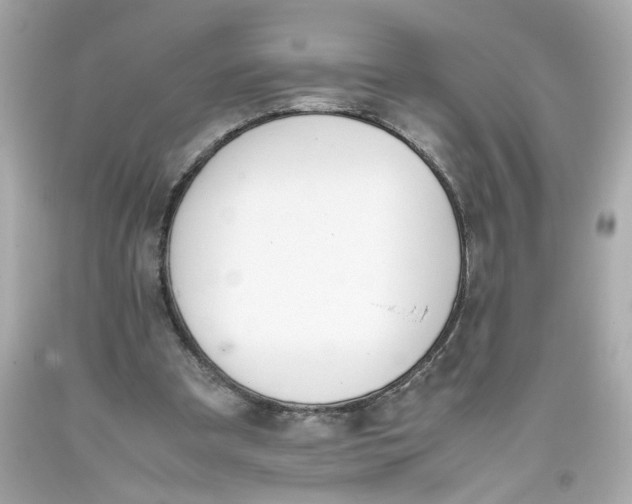 X0000093390297200711011316