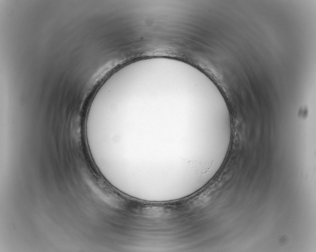 X0000093390298200711011316