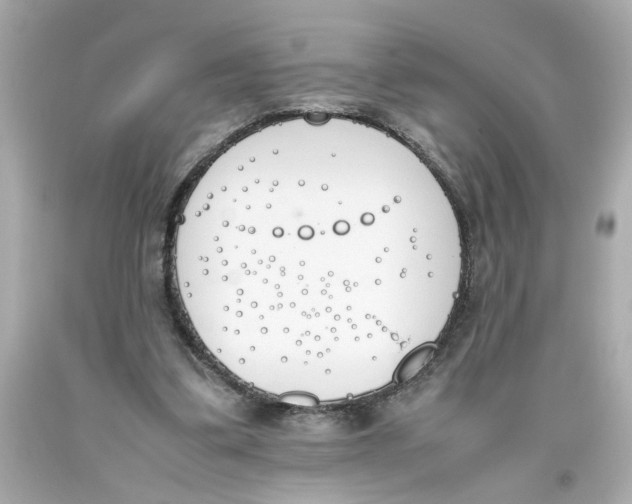 X0000093390299200711011316