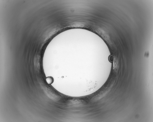 X0000093390300200711011316