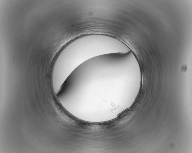 X0000093390301200711011316