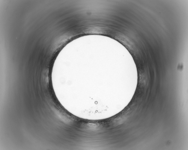 X0000093390302200711011316