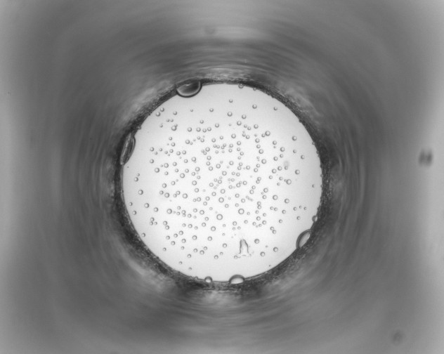 X0000093390303200711011316