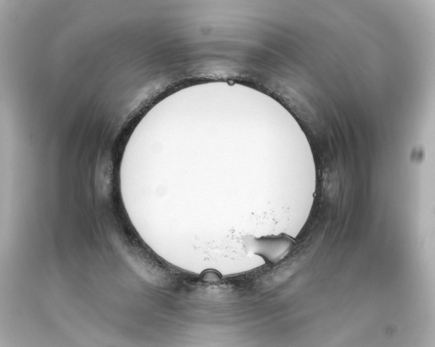 X0000093390304200711011316