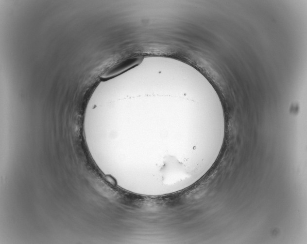 X0000093390305200711011316