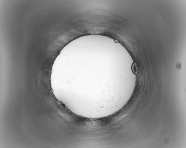 X0000093390307200711011316