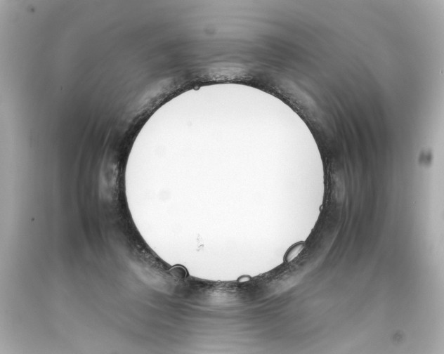 X0000093390308200711011316