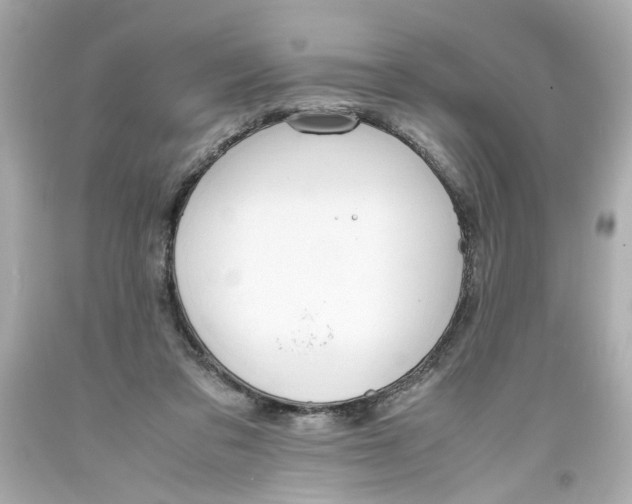 X0000093390309200711011316