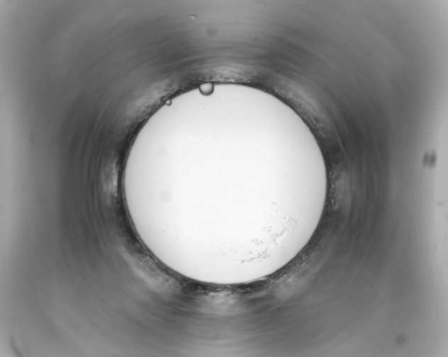 X0000093390310200711011316