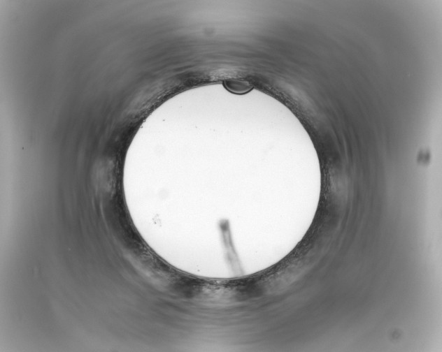 X0000093390311200711011316