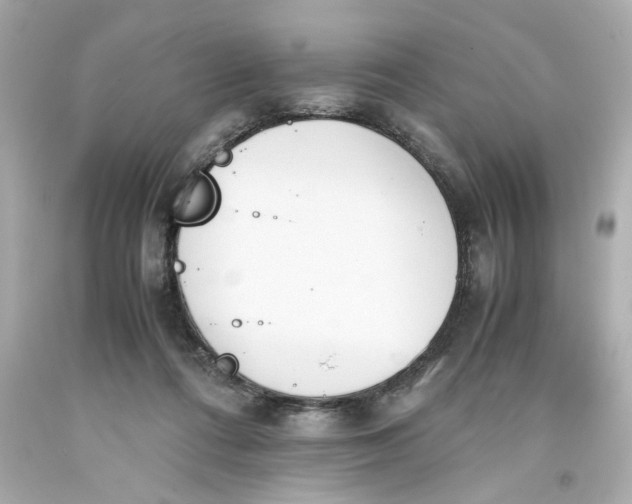 X0000093390312200711011316