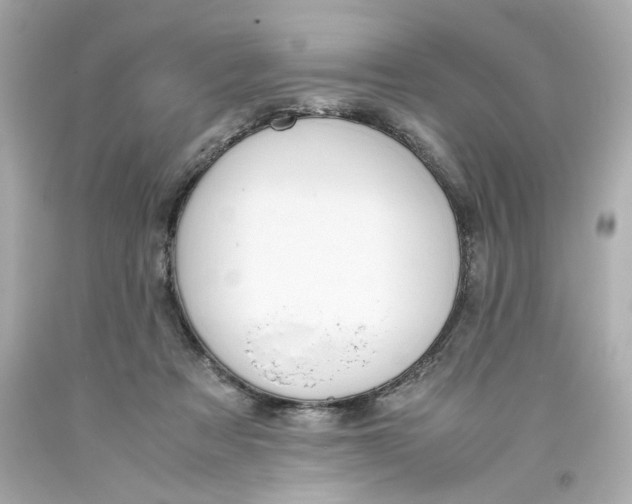 X0000093390313200711011316