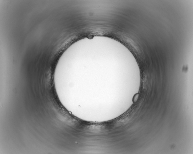 X0000093390314200711011316