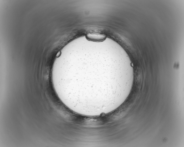 X0000093390315200711011316